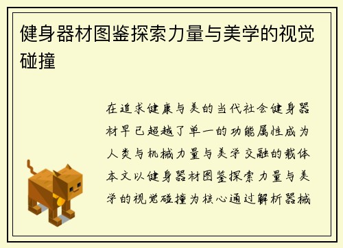 健身器材图鉴探索力量与美学的视觉碰撞