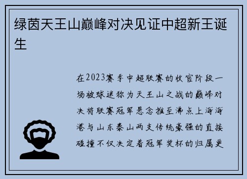 绿茵天王山巅峰对决见证中超新王诞生